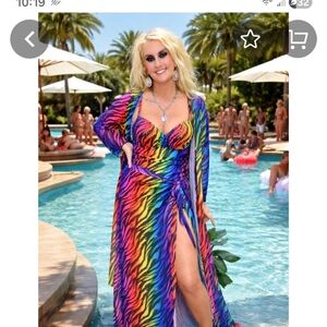 Vibrant Rainbow Zebra Print 4 Piece Set